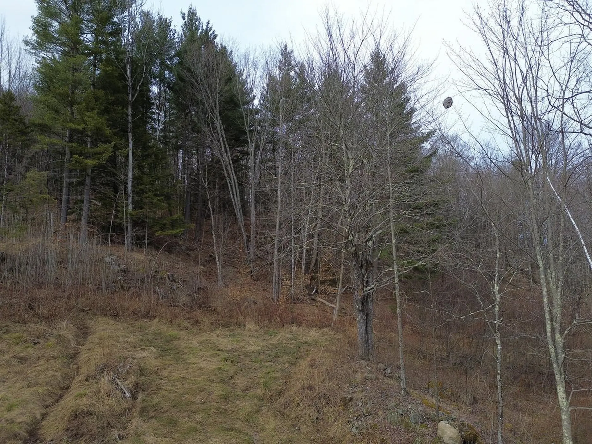 00 Bent Birch Lane Warren VT 05674