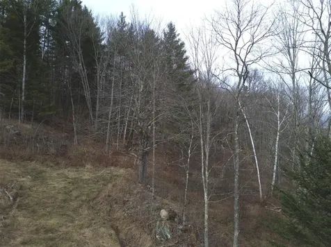 00 Bent Birch Lane Warren VT 05674