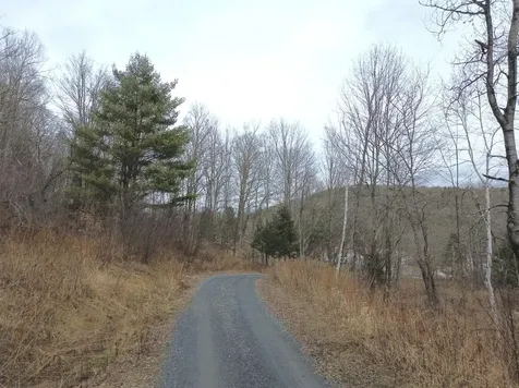 00 Bent Birch Lane Warren VT 05674