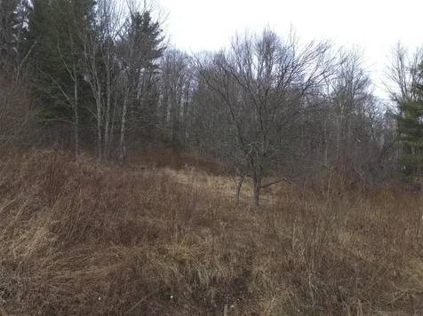 00 Bent Birch Lane Warren VT 05674