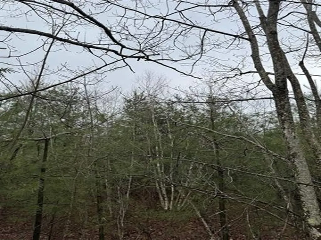 Tbd Mason Road Milton NH 03851