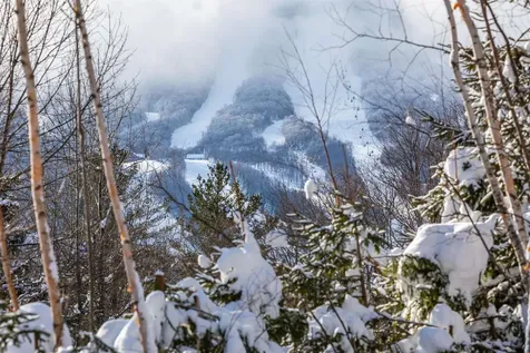 121 High Meadow Road Winhall VT 05340-9999