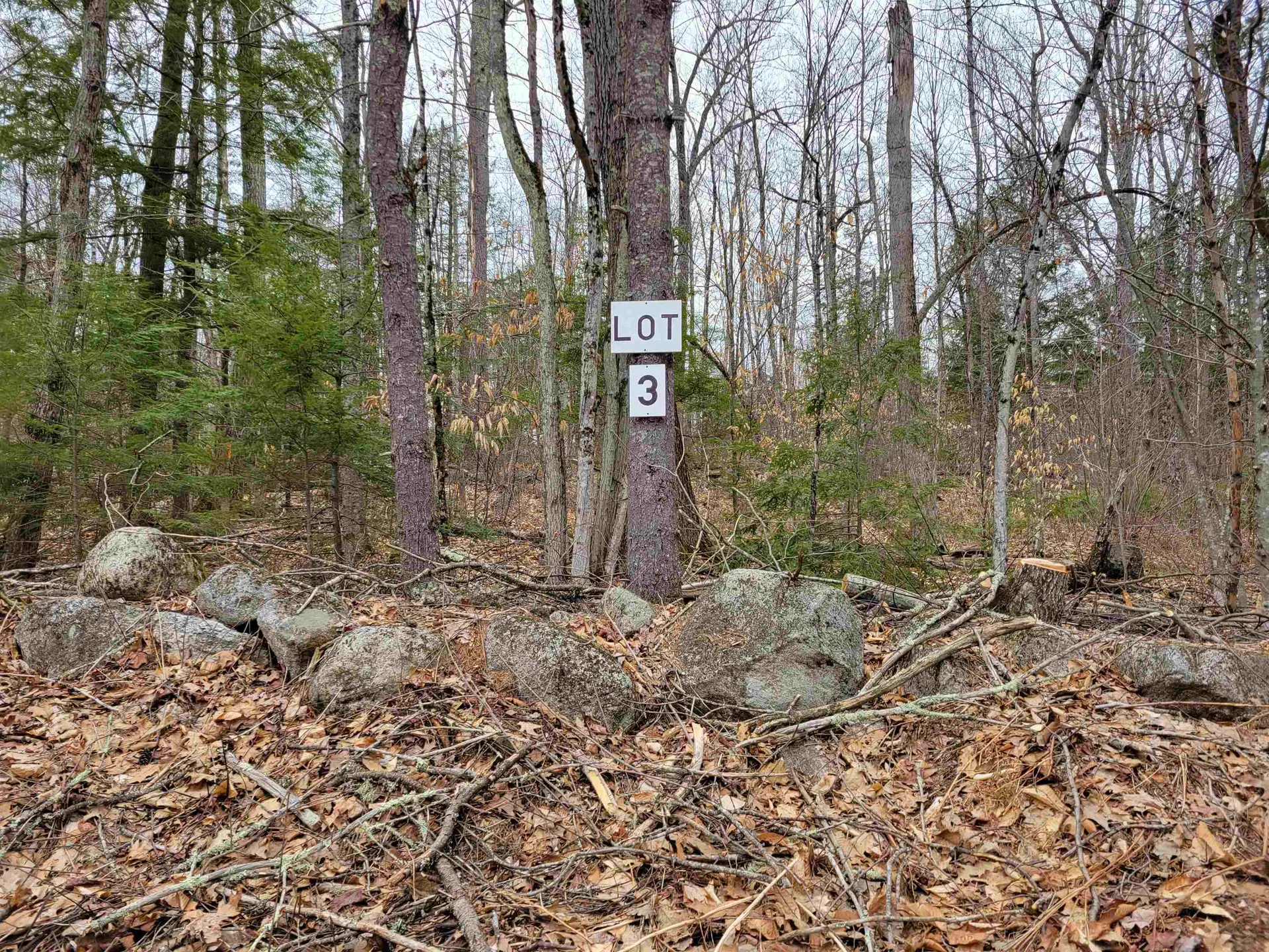 582-3 West Fryeburg Road Fryeburg ME 04037