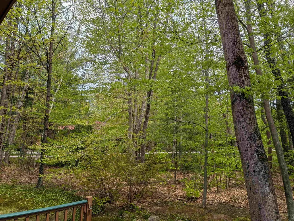 11 Cascade Drive Woodstock NH 03262
