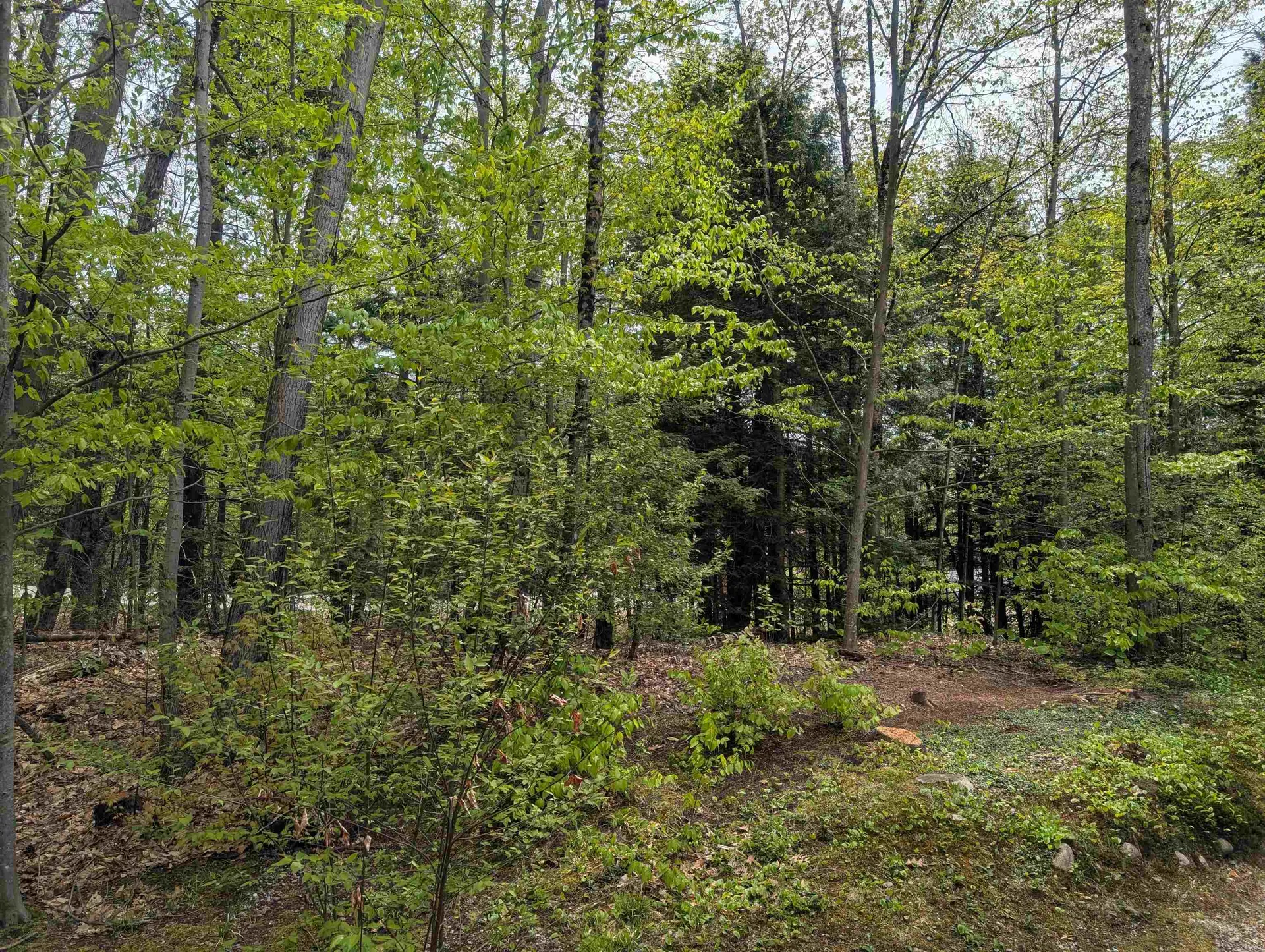 11 Cascade Drive Woodstock NH 03262