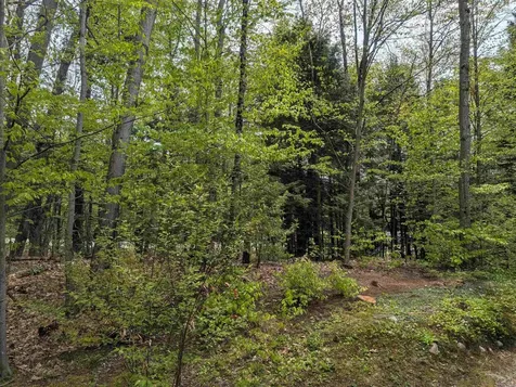 11 Cascade Drive Woodstock NH 03262