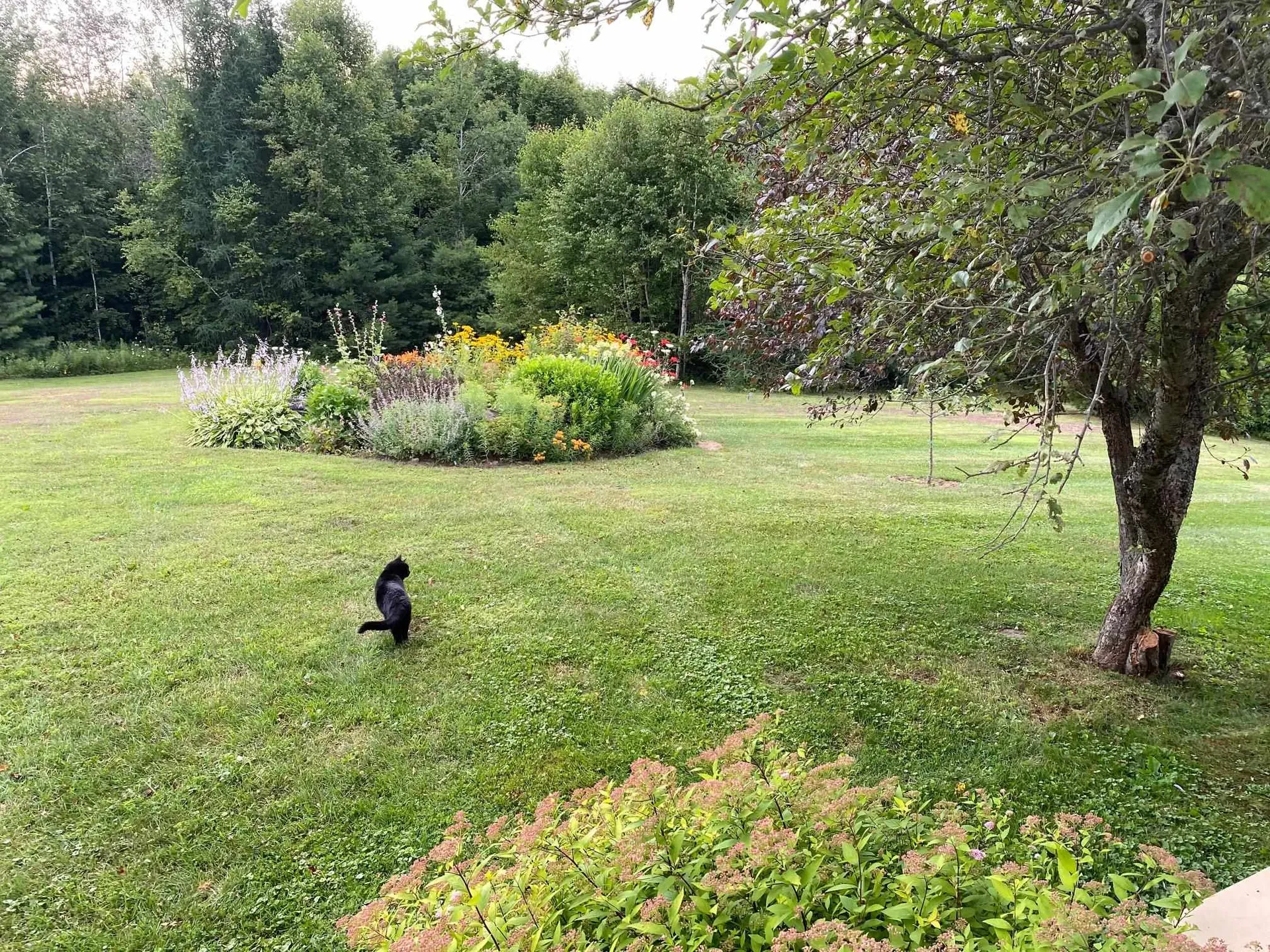 1271 Joes Brook Road Danville VT 05828