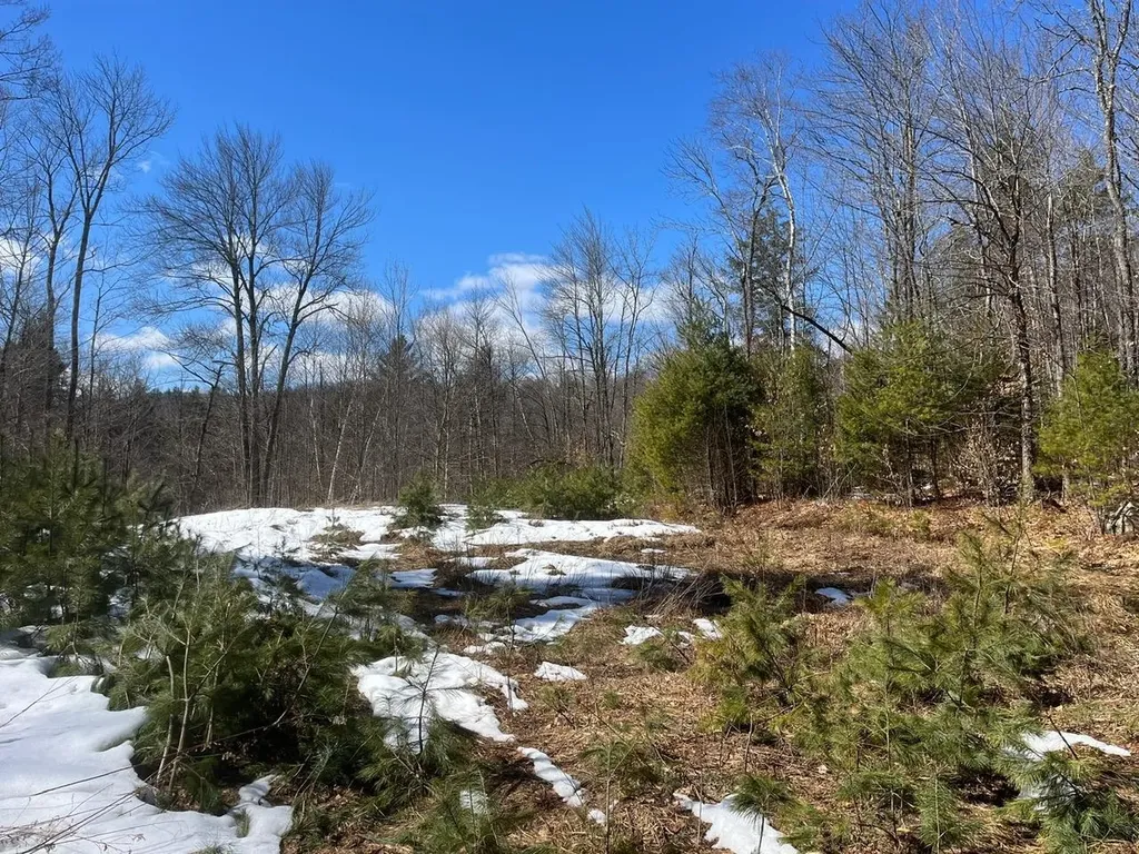 00 Pratt Bridge Road Jamaica VT 05143