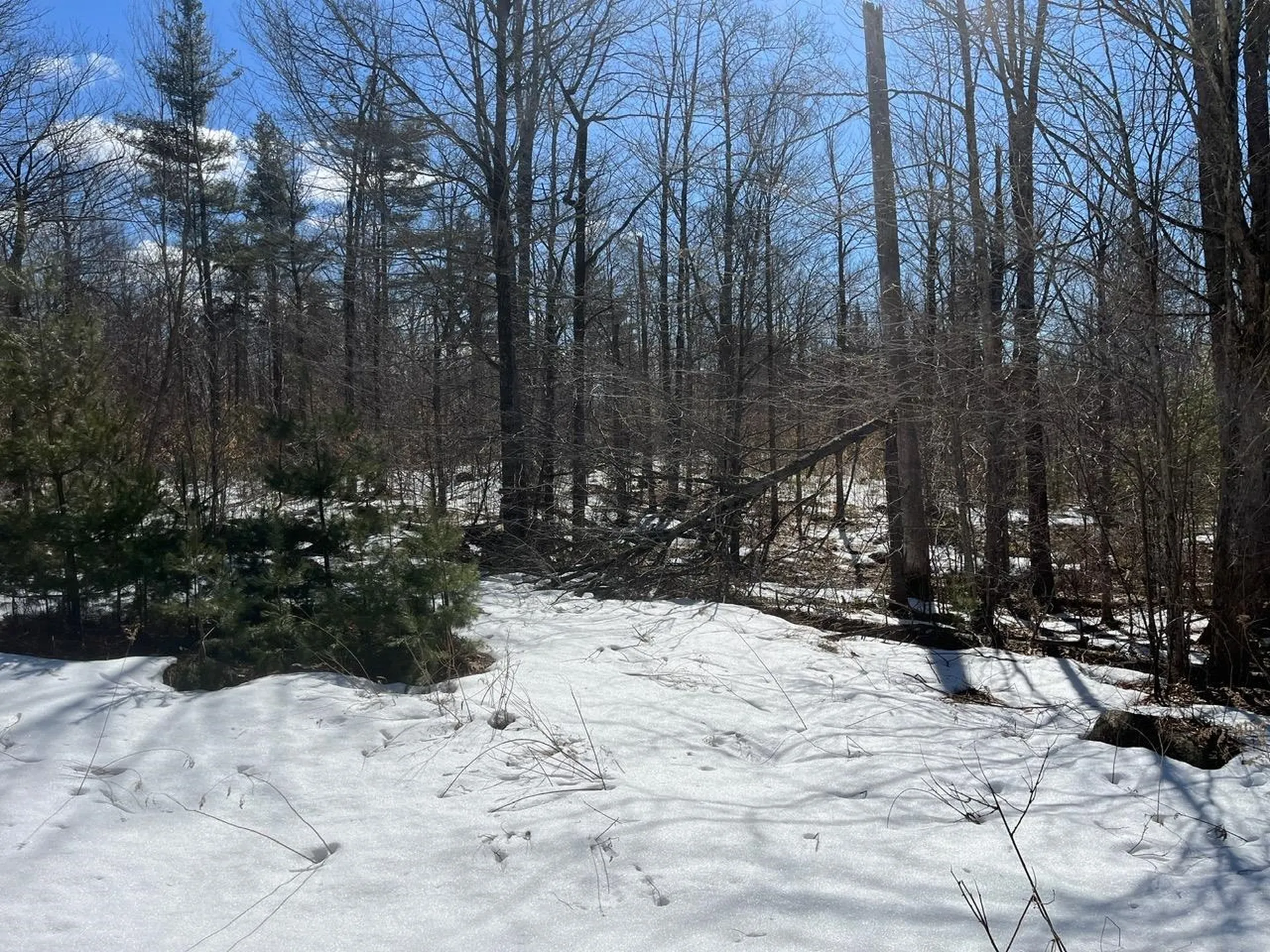 00 Pratt Bridge Road Jamaica VT 05143