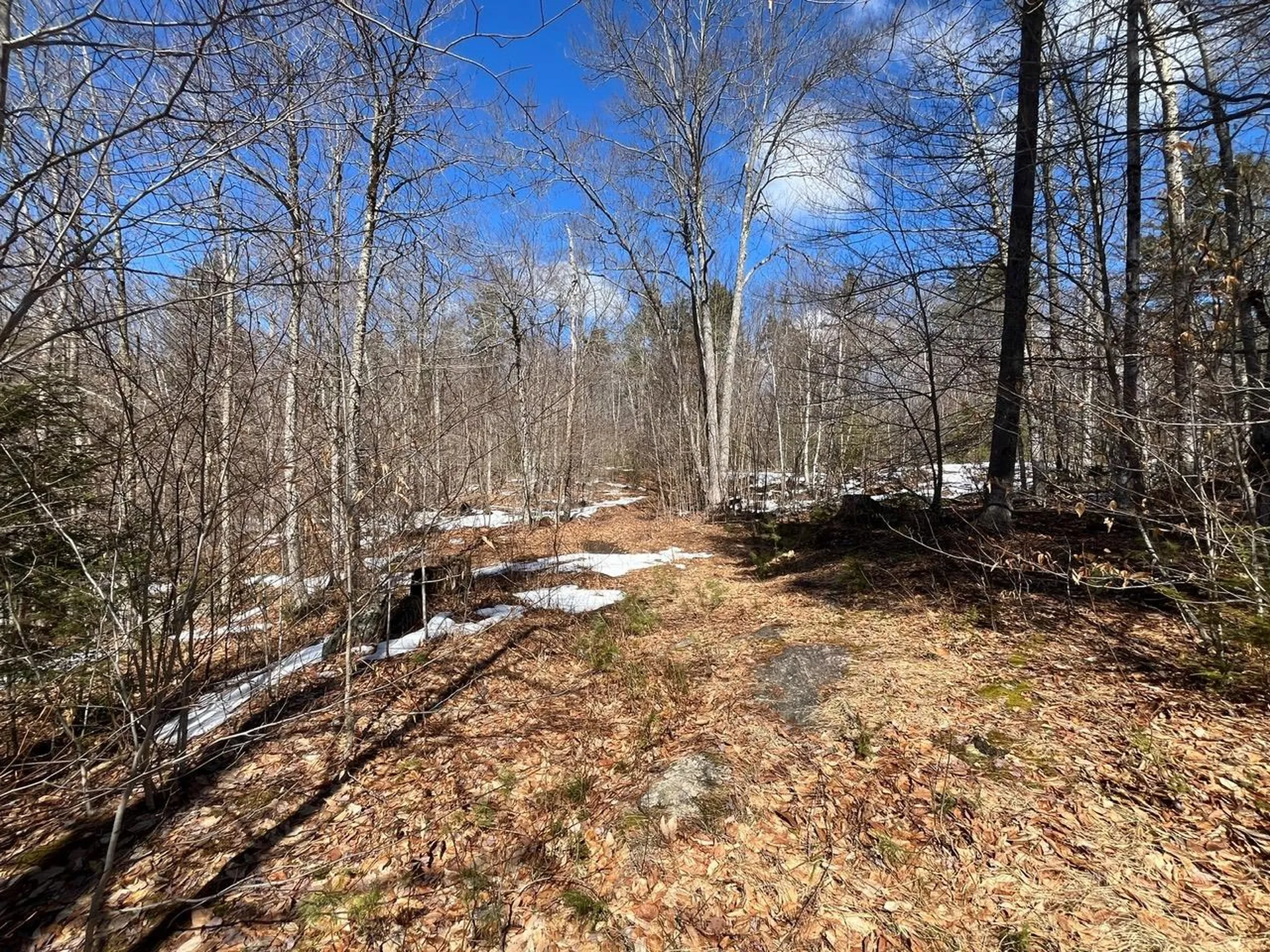 00 Pratt Bridge Road Jamaica VT 05143