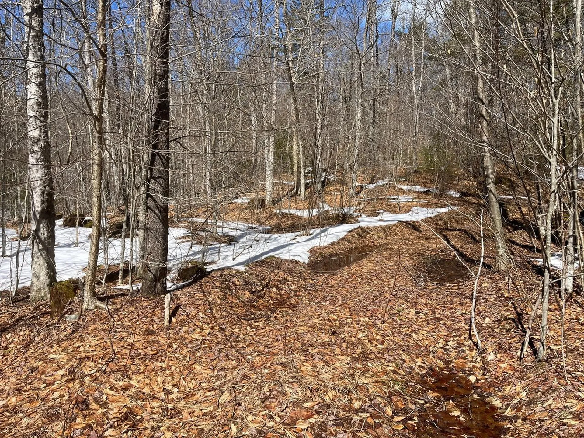 00 Pratt Bridge Road Jamaica VT 05143