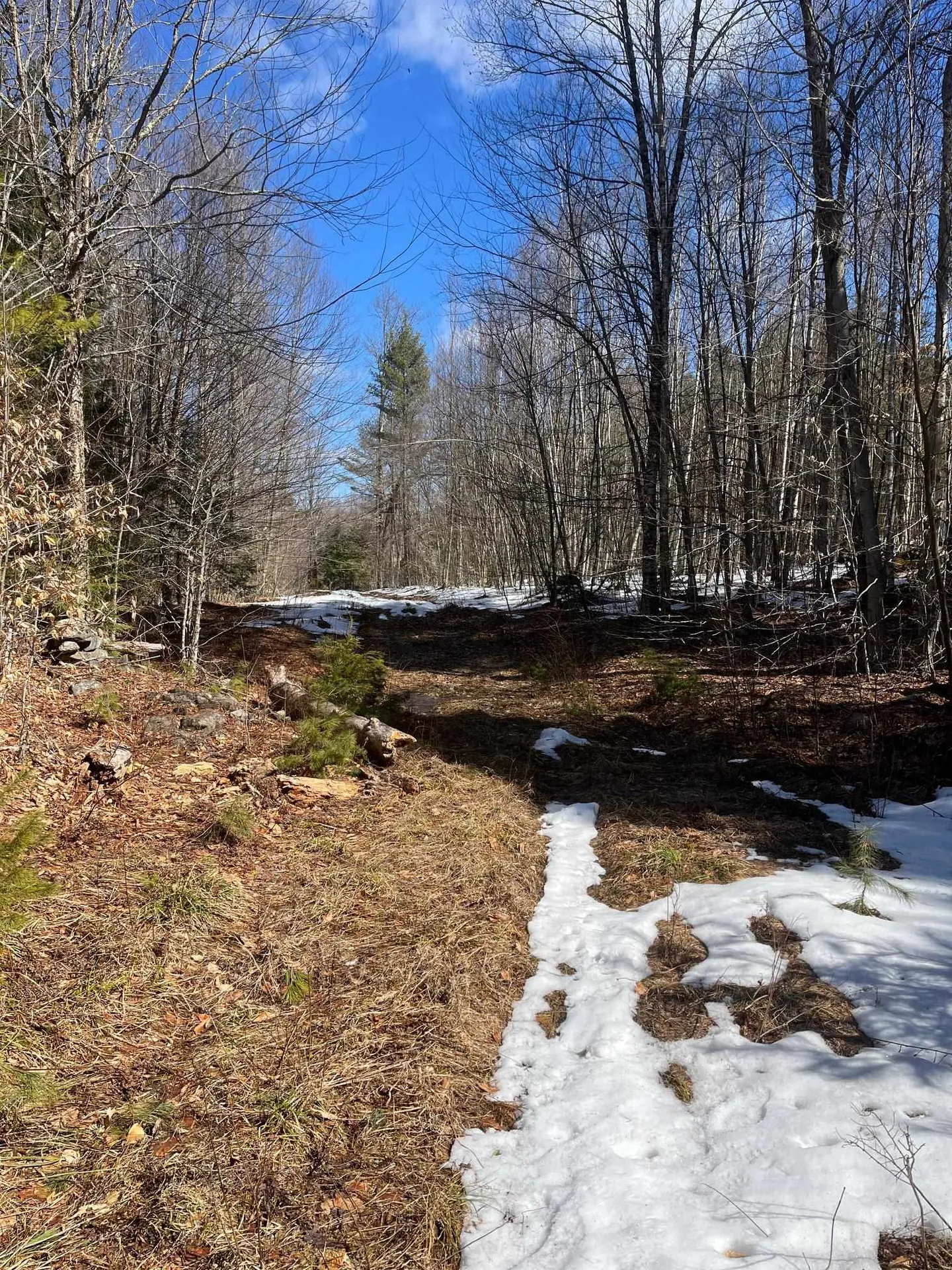 00 Pratt Bridge Road Jamaica VT 05143