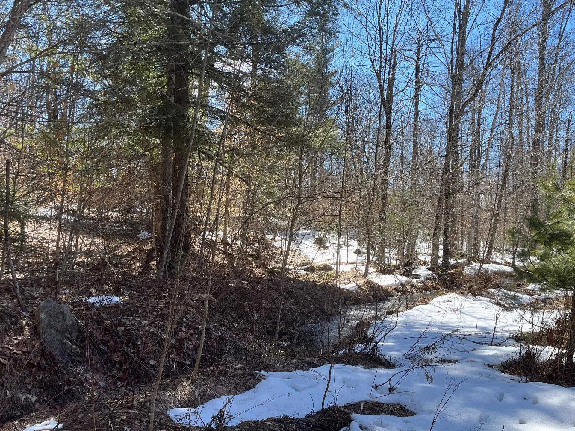 00 Pratt Bridge Road Jamaica VT 05143