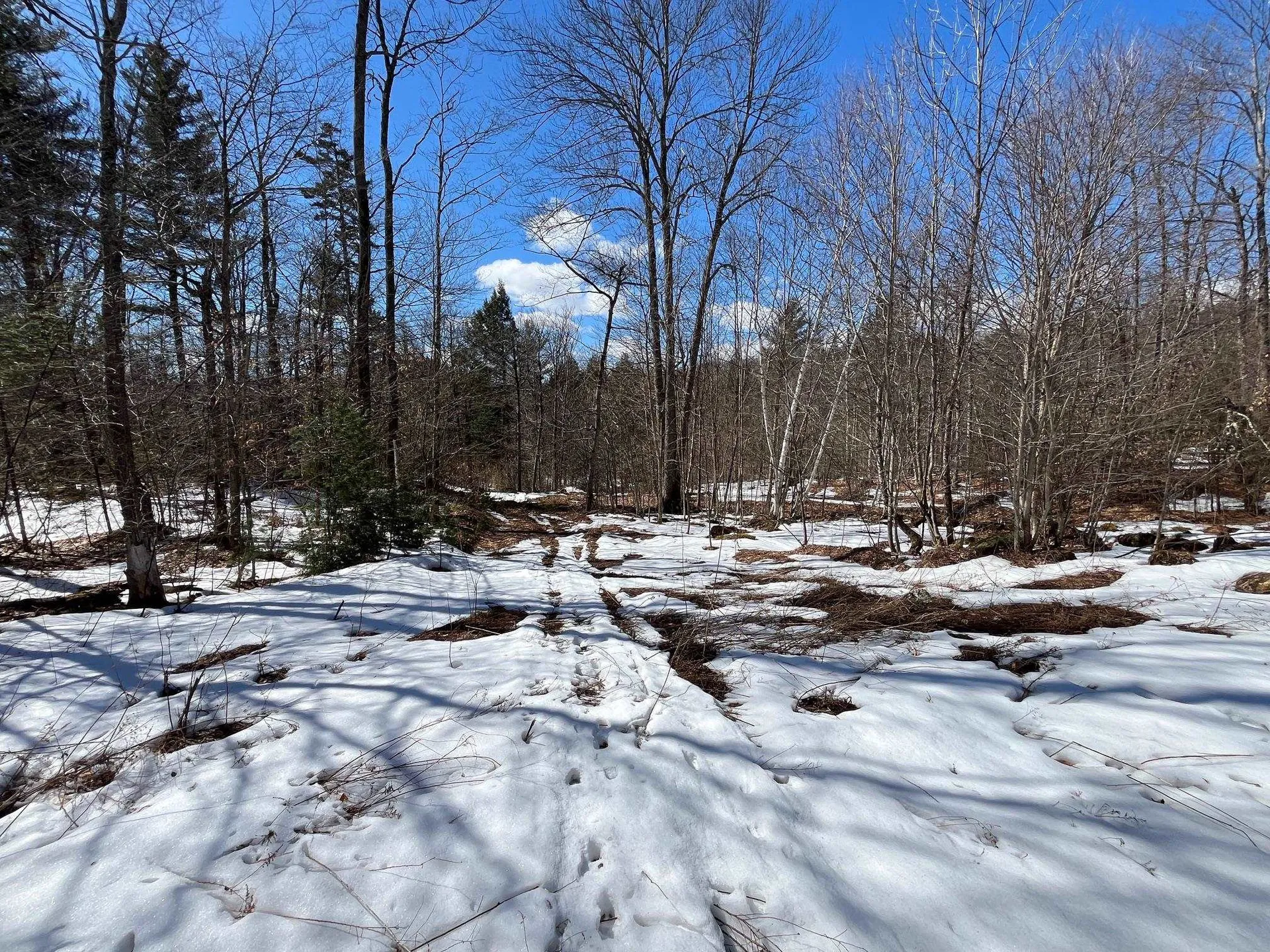 00 Pratt Bridge Road Jamaica VT 05143