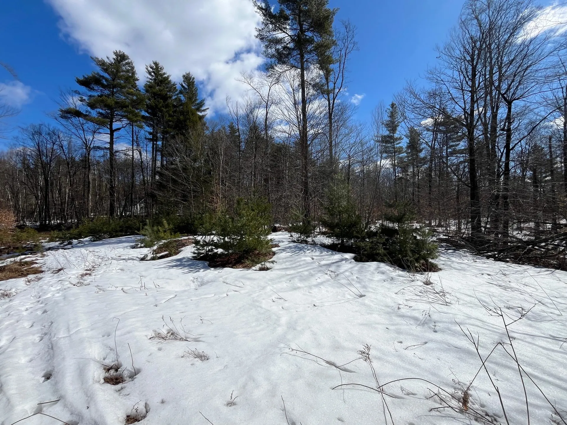 00 Pratt Bridge Road Jamaica VT 05143