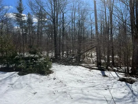 00 Pratt Bridge Road Jamaica VT 05143