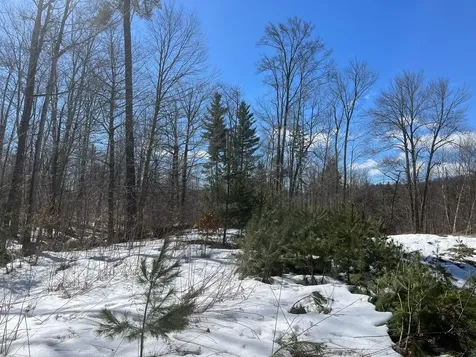 00 Pratt Bridge Road Jamaica VT 05143