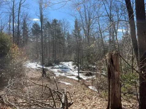 00 Pratt Bridge Road Jamaica VT 05143