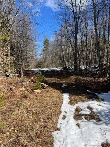 00 Pratt Bridge Road Jamaica VT 05143