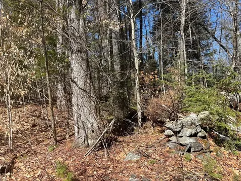 00 Pratt Bridge Road Jamaica VT 05143