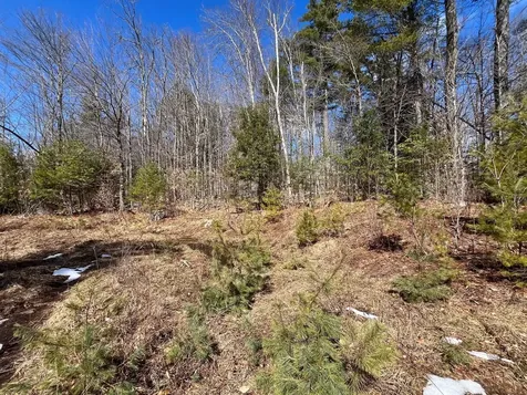 00 Pratt Bridge Road Jamaica VT 05143