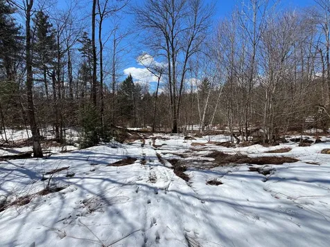 00 Pratt Bridge Road Jamaica VT 05143