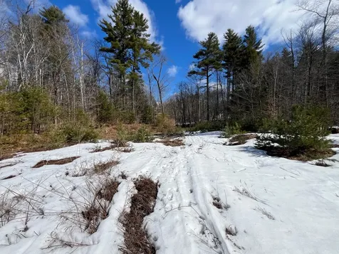 00 Pratt Bridge Road Jamaica VT 05143