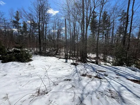 00 Pratt Bridge Road Jamaica VT 05143