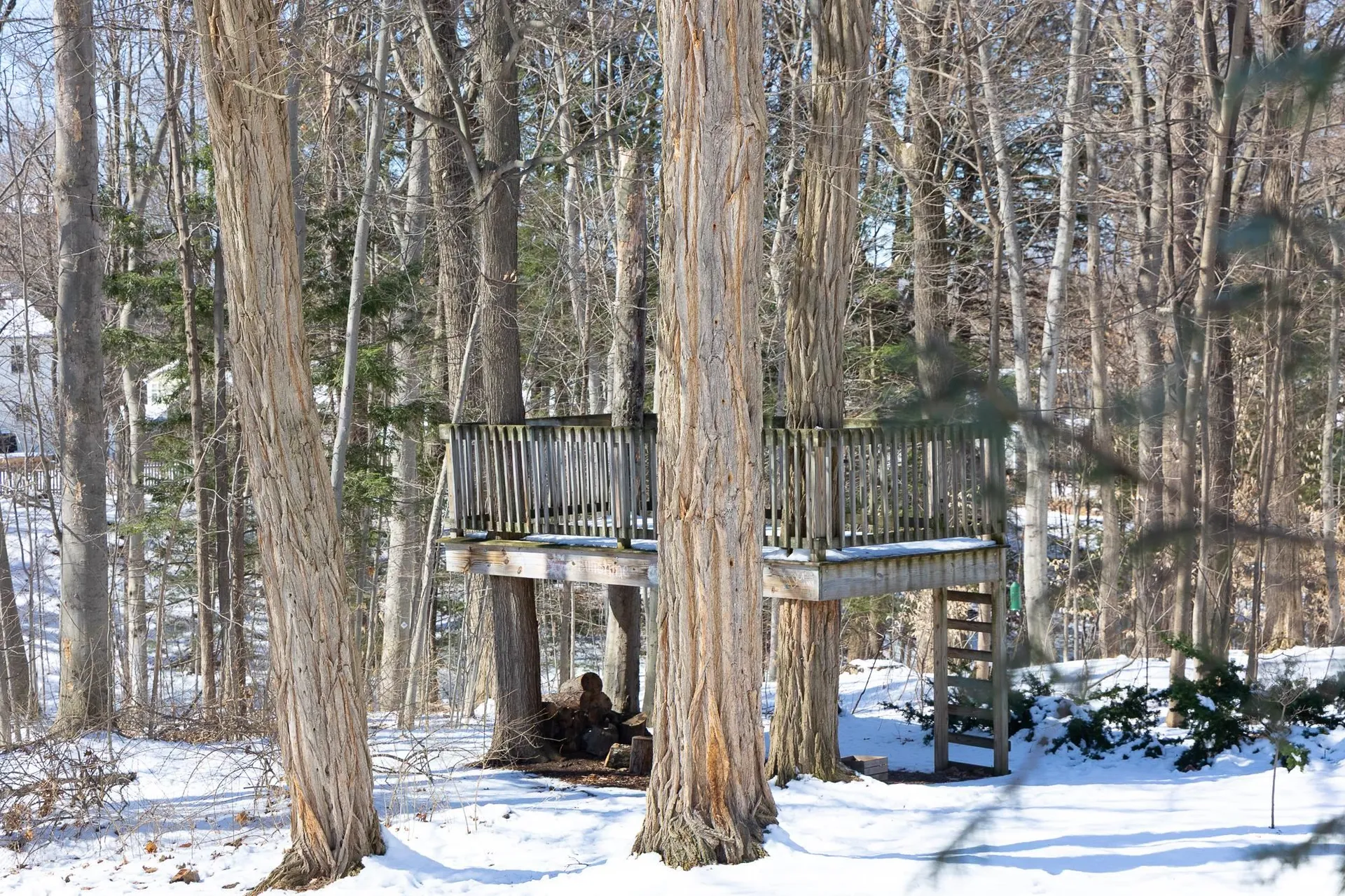 45 Crescent Road Burlington VT 05401