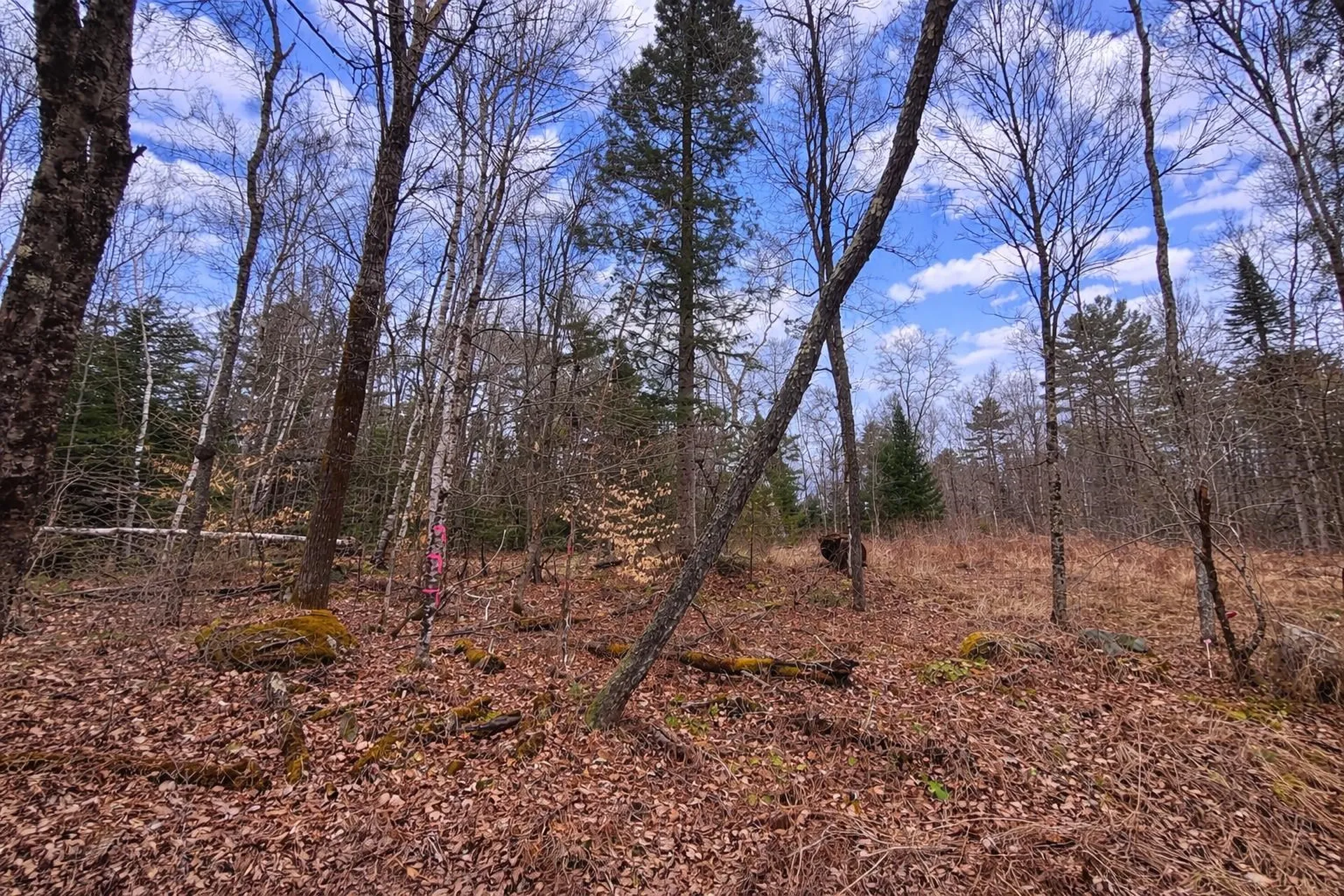 354 Lakeside Drive Haverhill NH 03785