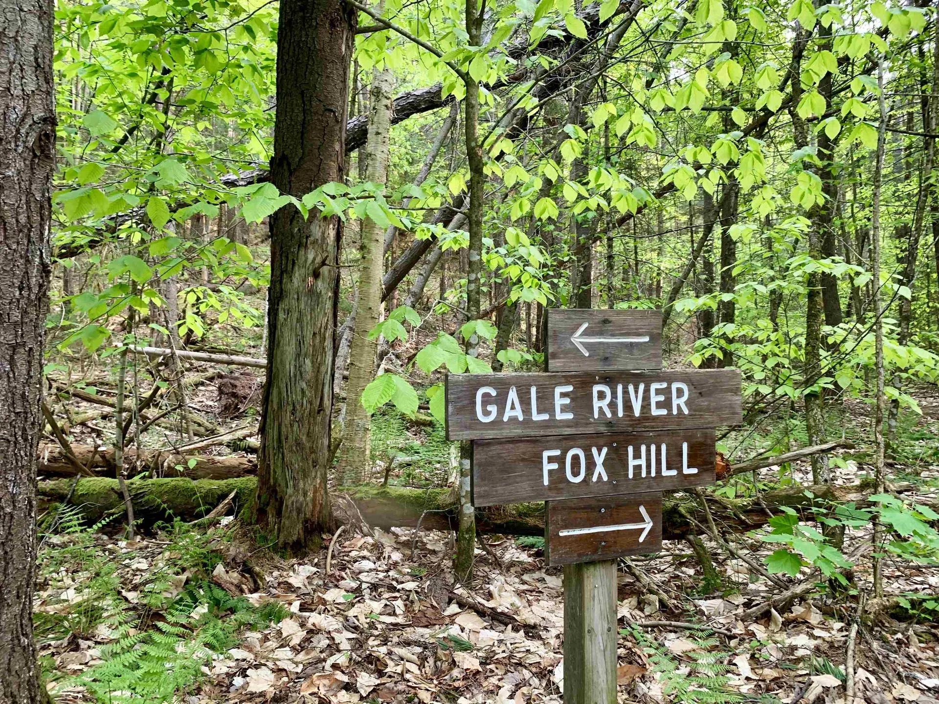 00 Iron Foundry Road Franconia NH 03580