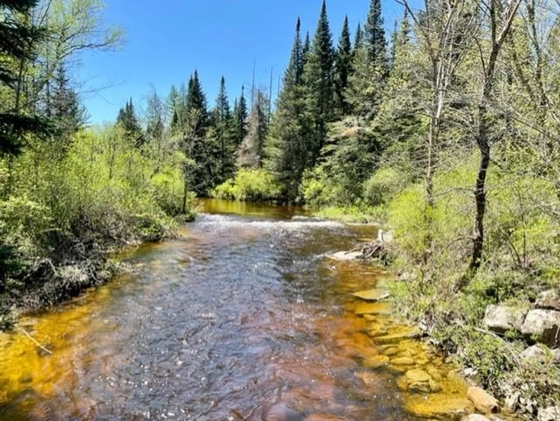 00 Iron Foundry Road Franconia NH 03580