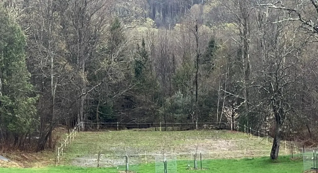179 Cate Hill Road Greensboro VT 05826