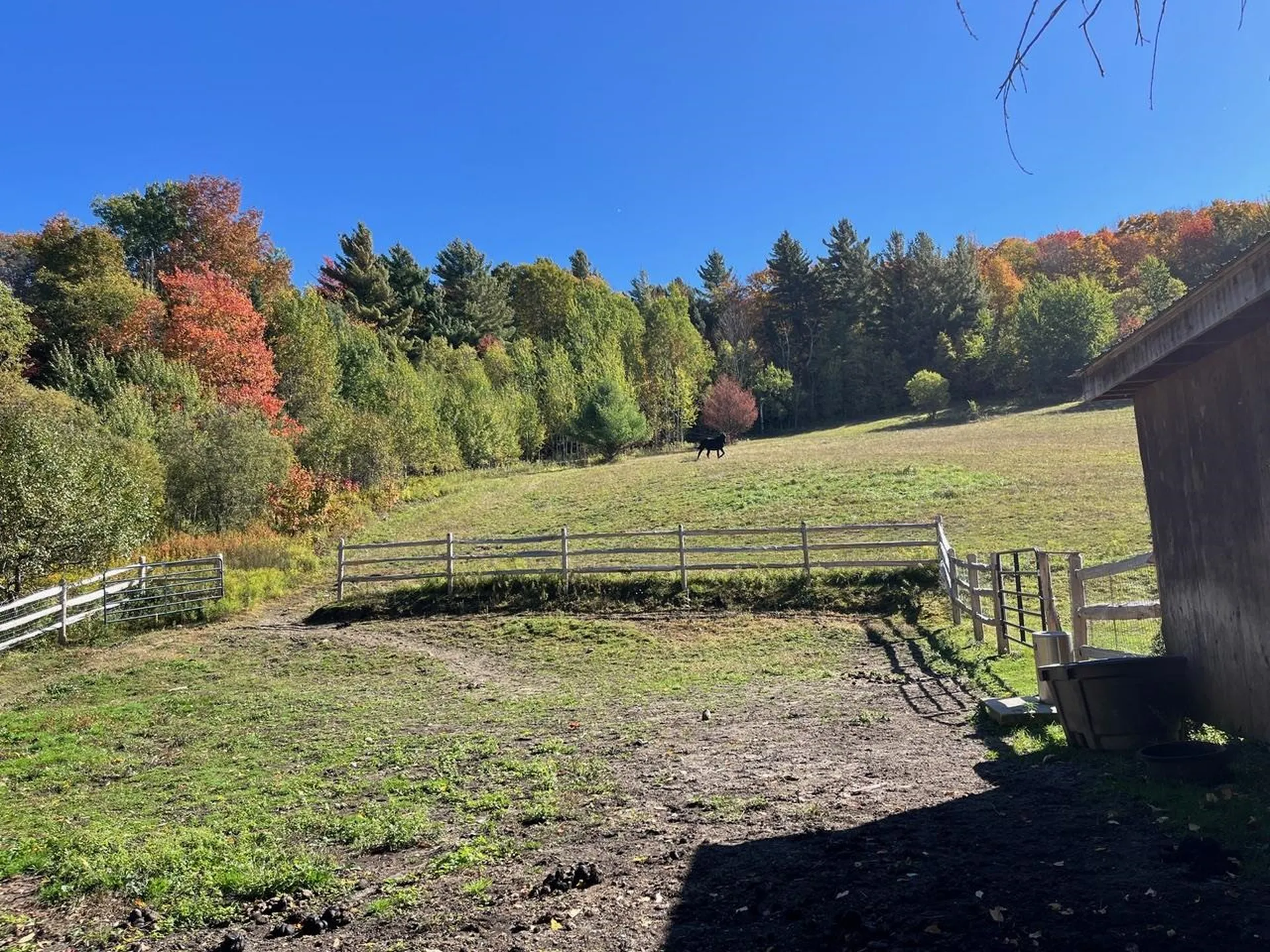 179 Cate Hill Road Greensboro VT 05826