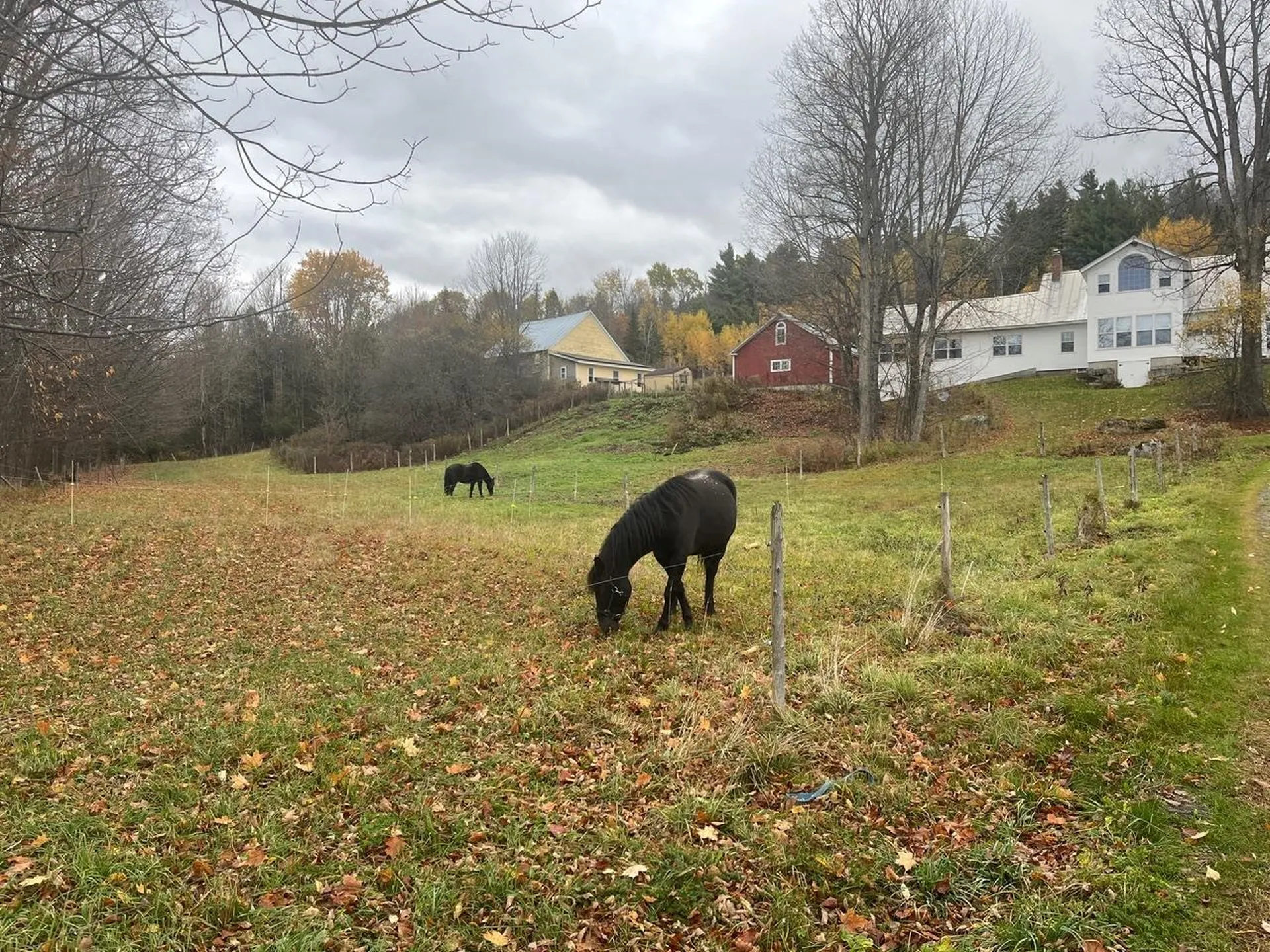 179 Cate Hill Road Greensboro VT 05826
