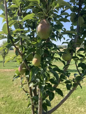 247 Us Route 2 Grand Isle VT 05458