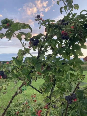 247 Us Route 2 Grand Isle VT 05458