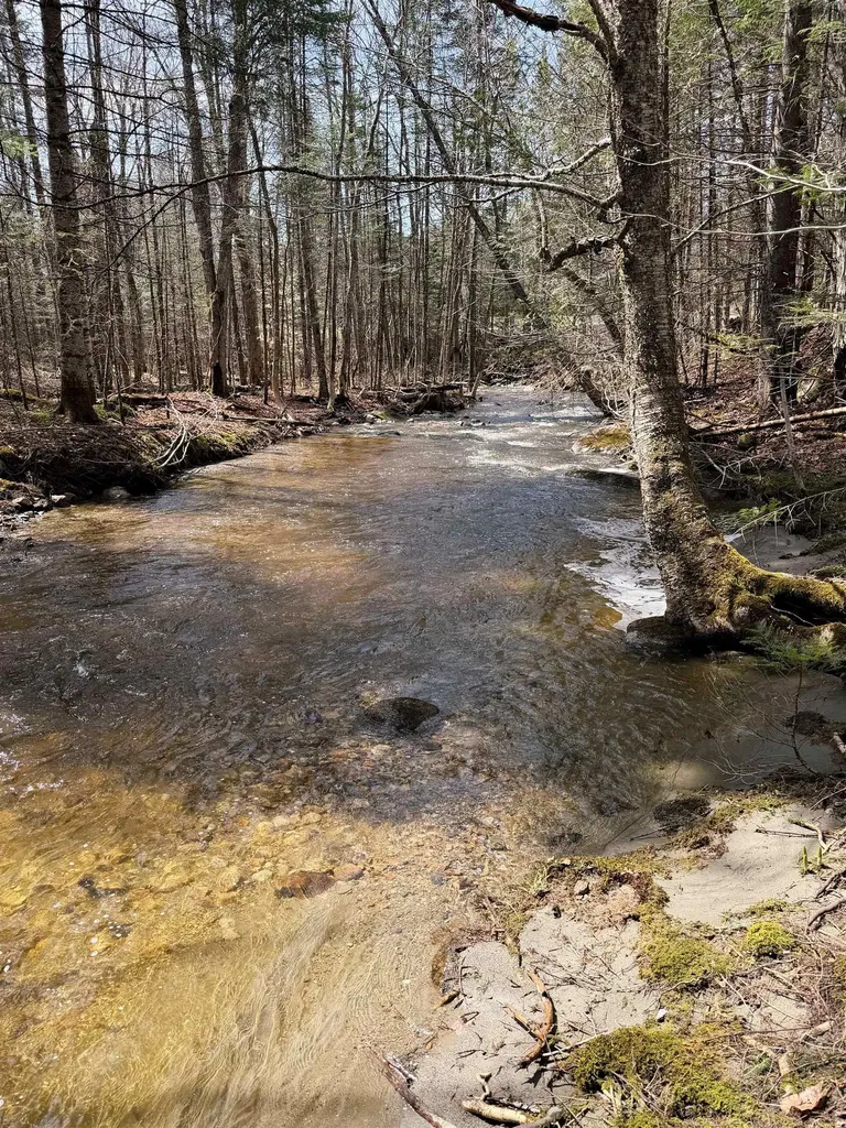 1500 Brook Road Burke VT 05871