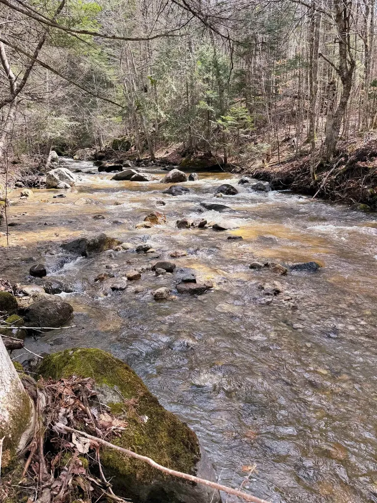 1500 Brook Road Burke VT 05871