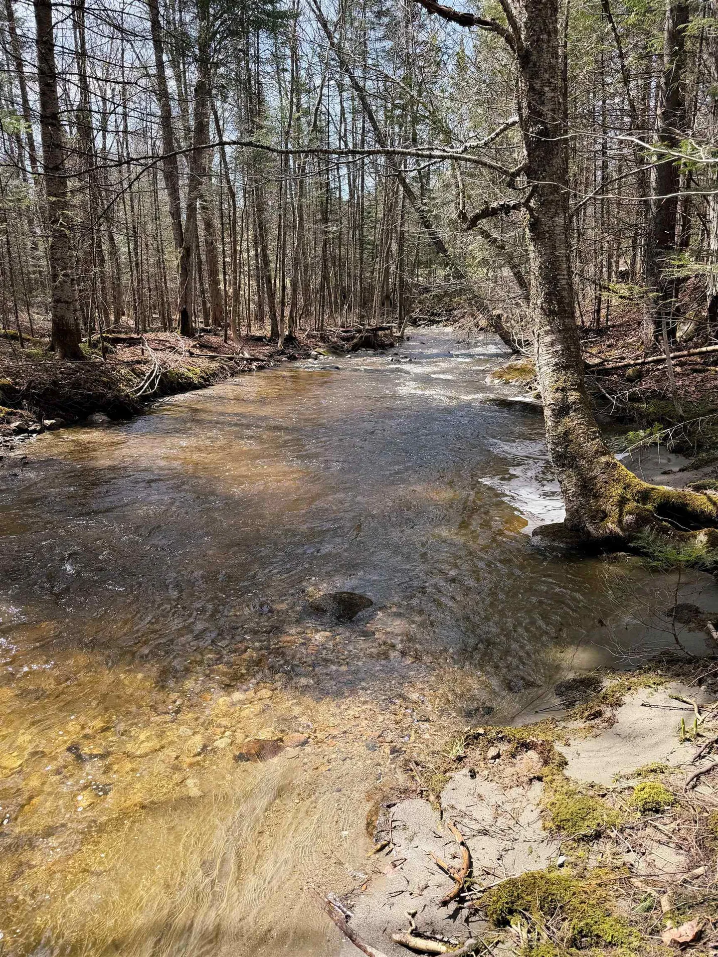 1500 Brook Road Burke VT 05871