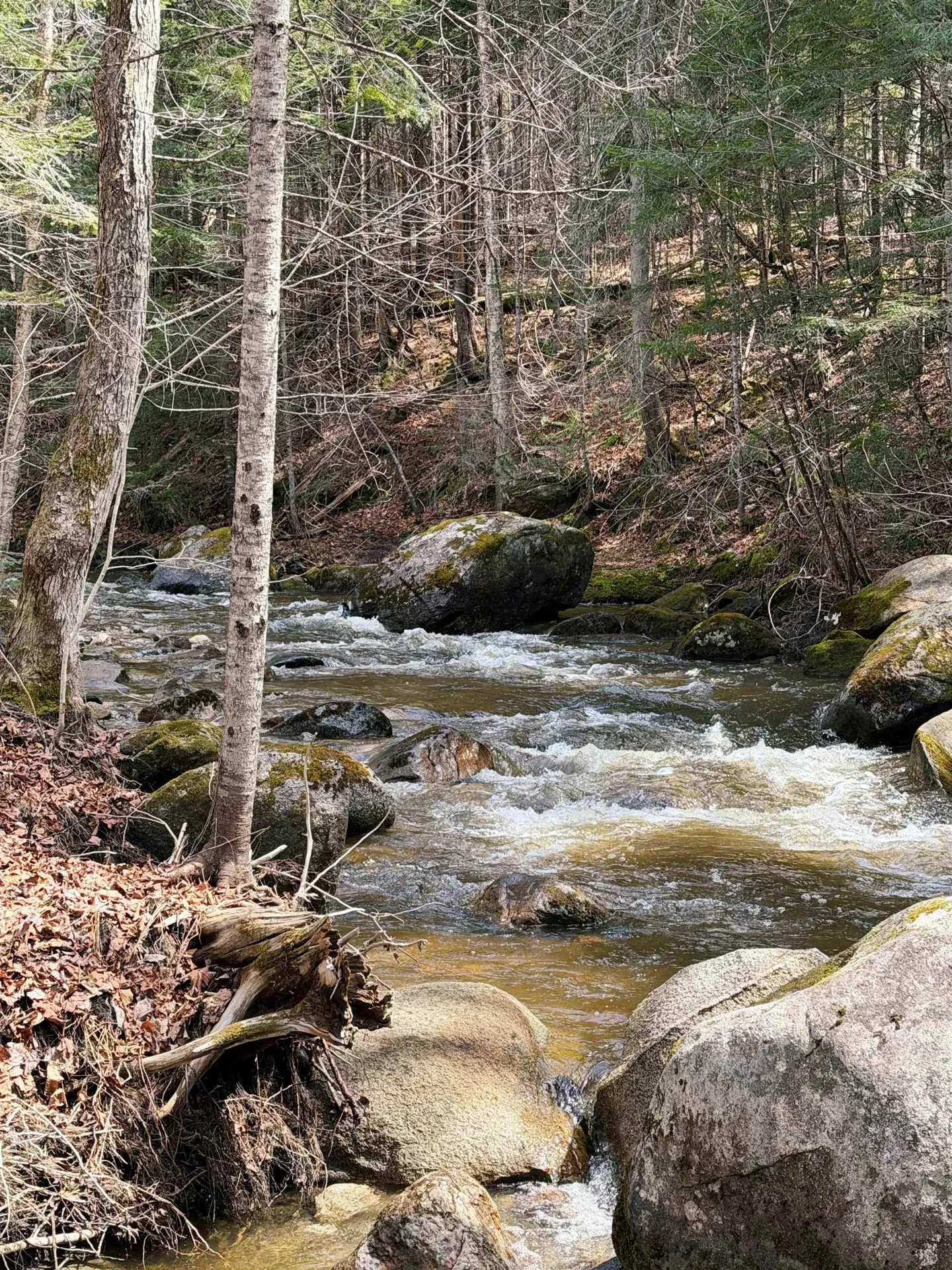 1500 Brook Road Burke VT 05871