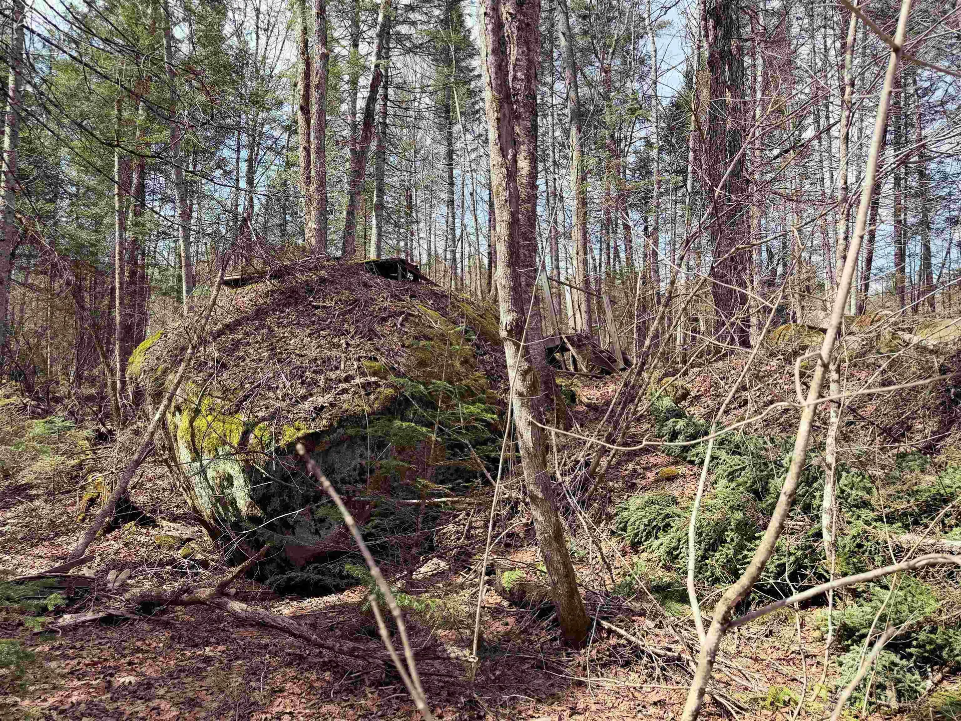 1500 Brook Road Burke VT 05871