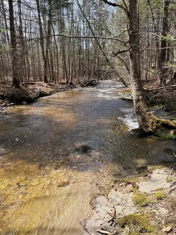 1500 Brook Road Burke VT 05871