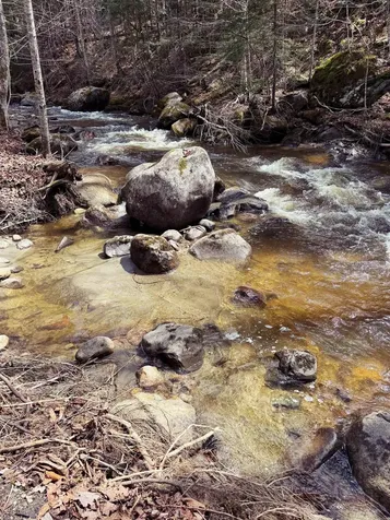 1500 Brook Road Burke VT 05871