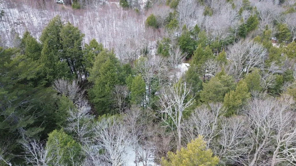 Tbd Fox Drive Gilmanton NH 03237