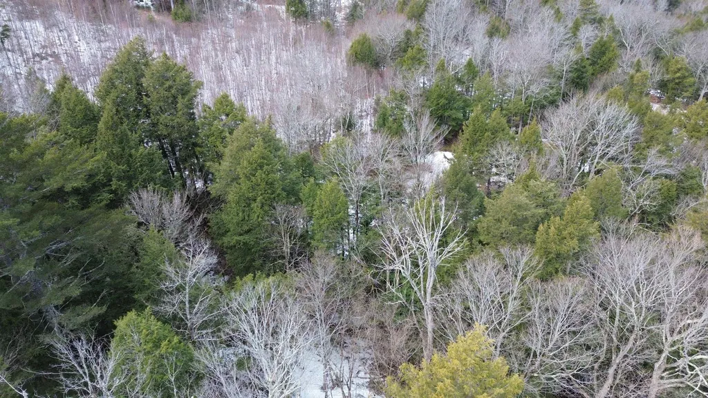 Tbd Fox Drive Gilmanton NH 03237