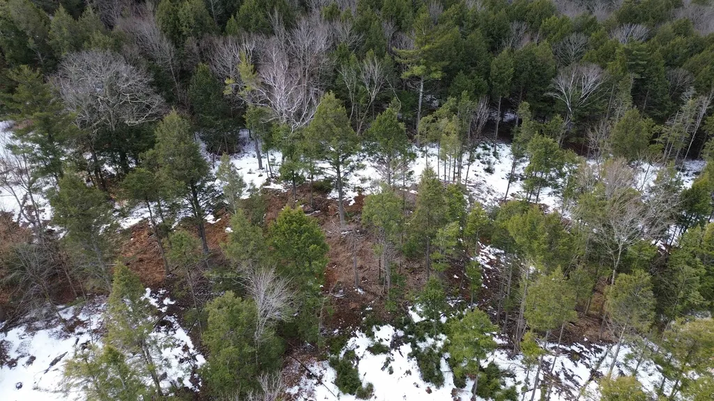 Tbd Fox Drive Gilmanton NH 03237