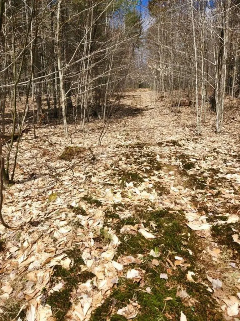 Tbd Fox Drive Gilmanton NH 03237