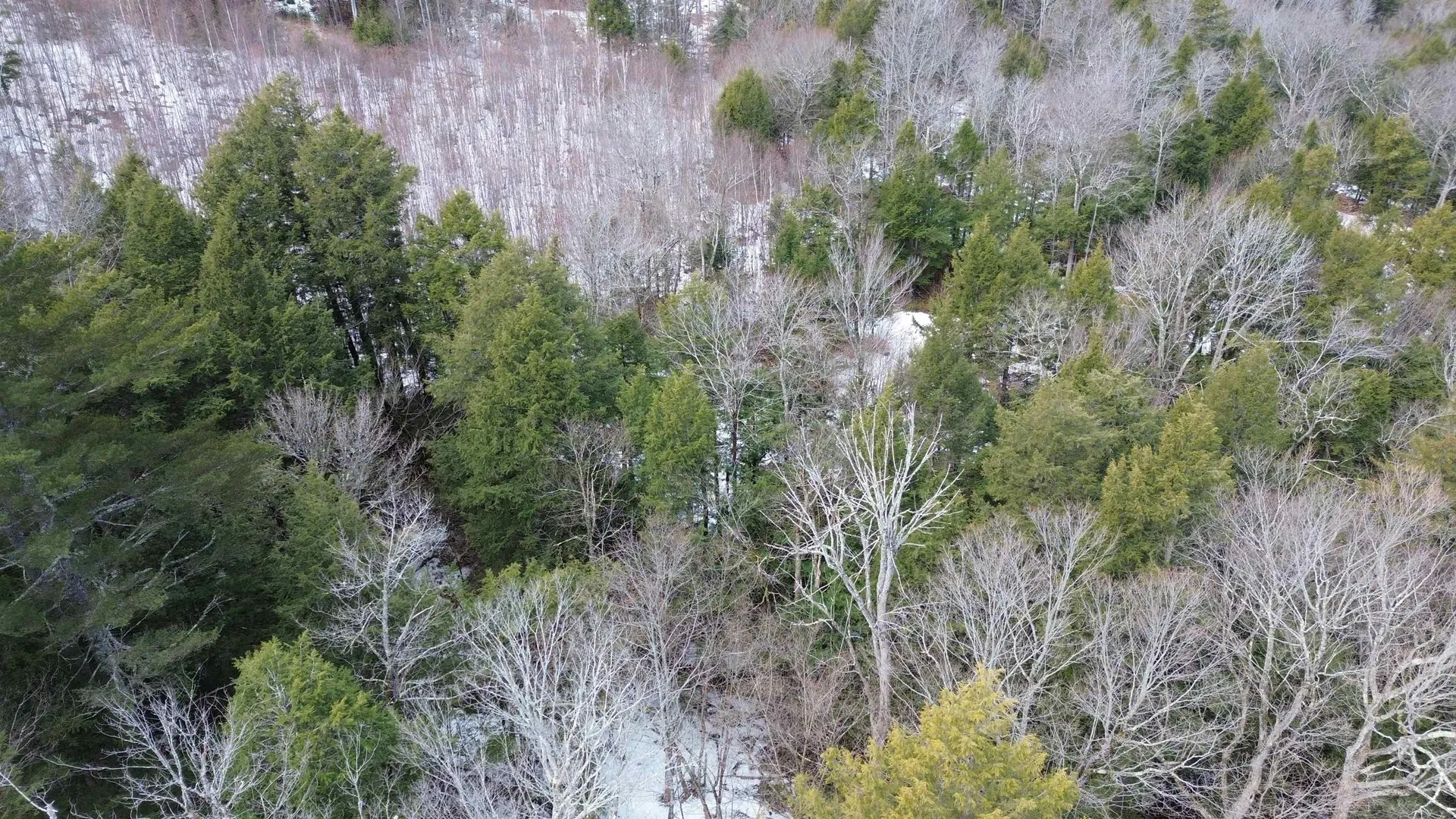 Tbd Fox Drive Gilmanton NH 03237