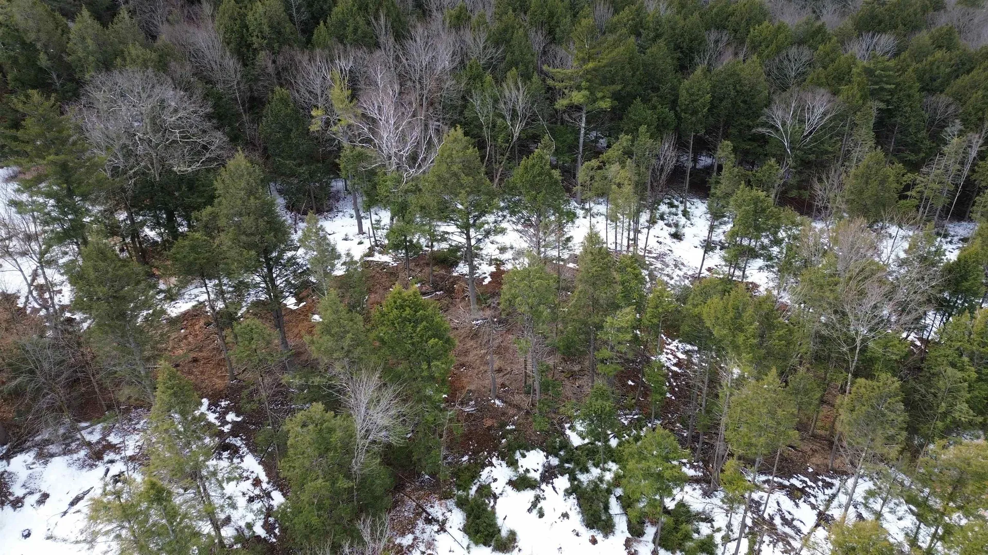 Tbd Fox Drive Gilmanton NH 03237